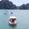 Fête des rois Hung : afflux de touristes en baie d'Ha Long