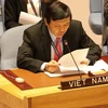 Des amis étrangers soutiennent pour le Vietnam comme membre non permanent du Conseil de sécurité
