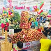 Central Group Vietnam promeut le label "fruit du dragon de Binh Thuan"