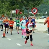 Dà Nang: plus de 9.000 personnes participent au marathon international Manulife