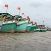 Da Nang : installation de dispositifs de surveillance des bateaux de pêche avant le 15 mars