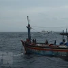 Trois pêcheurs de Binh Dinh à la dérive en mer sauvés