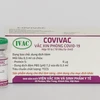 Le 10 août, le vaccin « made in Vietnam » Covivac entamera sa 2e phase d'essai