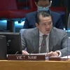 ONU : le Vietnam condamne l’utilisation d’armes chimiques