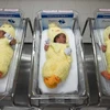 L'économie thaïlandaise menacée en raison du faible taux de natalité