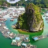 La baie de Ha Long, l’une des meilleures destinations de l’Asie du Sud-Est
