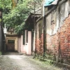 Beauté de l'ancien village de Dông Ngac de 400 ans au cœur de Hanoï