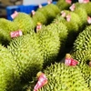 Affirmer la position du durian dans le club des produits exportations d'un milliard de dollars