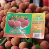 Des litchits de Bac Giang seront exportés via la gare de Kep