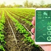 Accélération de la transformation numérique dans l’agriculture