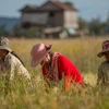 Le Cambodge soutient le secteur agricole et prépare l'établissement d'une économie numérique