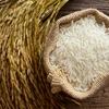 Le riz exporté vietnamien est désormais plus cher que celui de la Thaïlande