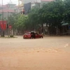 Vinh Phuc : De fortes pluies tuent deux personnes et affectent la production agricole