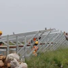 Accélérer la mise sous tension du projet d'énergie solaire Loc Ninh - Binh Phuoc le 31 décembre