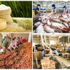 Exportations de produits agricoles, sylvicoles et aquatiques en hausse de 1,6% en neuf mois