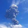 Indonésie : Plus de 4.600 résidents évacués après l'éruption du mont Ili Lewotolok