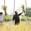 L'Indonésie appelle ses régions à promouvoir l'agrotourisme
