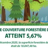 Le taux de couverture forestière de Hanoï atteint 5,67% 