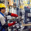 Dong Nai: l'indice de production industrielle au premier semestre en hausse de 7,54% 