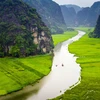 Ninh Binh laboure le sillon de l’agrotourisme