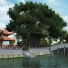 Le phuong dinh du Temple de la Littérature bientôt reconstruit