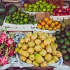 Vietnam - Chine: signature d'un MoU sur la coopération agricole et l'écoulement de fruits