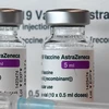 COVID-19 : La Pologne fournit 500.000 doses de vaccin au Vietnam