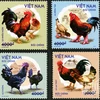 Émission d'une collection de timbres sur les "races de poulets indigènes du Vietnam"