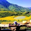 Sin Suối Hồ, un "printemps doré" à Lai Chau