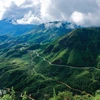 Aide américaine pour la gestion forestière et la conservation de la biodiversité à Lao Cai