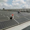 Les États-Unis ne mèneront pas d'enquête antidumping contre les panneaux solaires vietnamiens