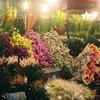 Le marché aux fleurs de Quang An animé pour la Journée des femmes vietnamiennes