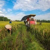 ONU: Le Vietnam partage son expérience en matière de réduction de la pauvreté