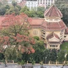 Le Musée national d’histoire du Vietnam célèbre ses fleurs de kapokier rouges 