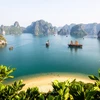 Le Vietnam figure dans le top 10 des destinations préférées des touristes australiens