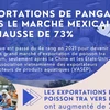 Exportations de pangasius vers le marché mexicain en hausse de 73%