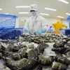 Le marché japonais préfère les crevettes géantes tigrées transformées du Vietnam