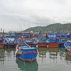Le secteur de surveillance des ressources halieutiques s'efforce de lutter contre la pêche INN