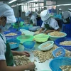 Environ 1,2 milliard de dollars d’exportations de noix de cajou