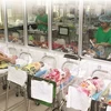 La santé des nouveau-nés, clé de la qualité du développement