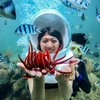 Cinq lieux où admirer les plus beaux récifs coralliens au Vietnam