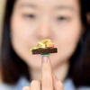 L’AFP salue les plats miniatures d’une jeune Vietnamienne