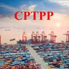 Le Vietnam et la Nouvelle-Zélande préparent l’entrée en vigueur du CPTPP
