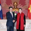 L’Assemblée nationale vietnamienne soutient la coopération gouvernementale Vietnam-Laos