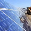La société indienne Waaree Energies met en activité une centrale solaire au Vietnam