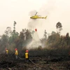 Les feux de forêt en Indonésie étouffent la Malaisie et Singapour