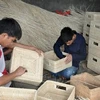 Vinh Phuc œuvre pour un développent durable de ses villages de métiers