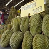 Forte hausse des exportations de durian thaïlandais vers la Chine 