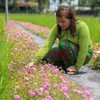 Hô Chi Minh-Ville : des rues fleuries contre les déchets