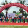 EVFTA : 126 tonnes de riz parfumé du Vietnam exportées vers l’Union européenne